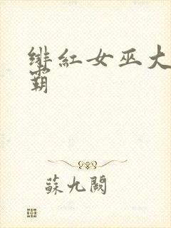 绯红女巫大战灭霸封面