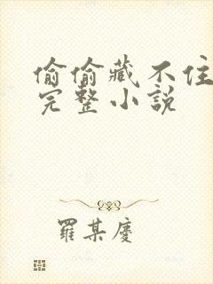 偷偷藏不住免费完整小说