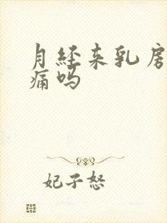 月经来乳房会胀痛吗