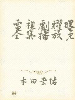 电视剧耀眼的你全集播放免费观看