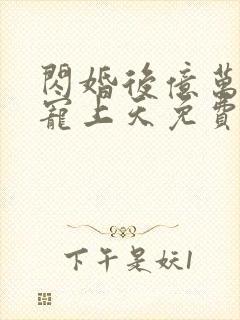 闪婚后亿万总裁宠上天免费封面