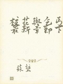 校花与乞丐小说最新章节下载