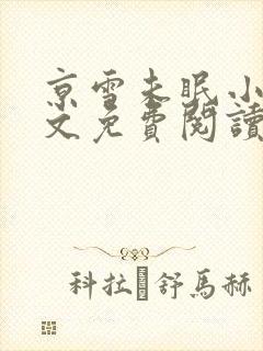 京雪未眠小说全文免费阅读
