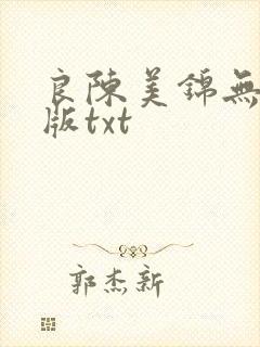 良陈美锦无删减版txt封面