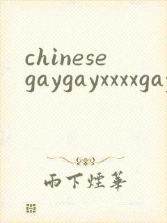 chinesegaygayxxxxgaygay封面