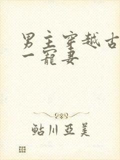 男主穿越古代专一宠妻