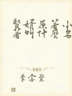 贤婿原著小说原著叫什么名字