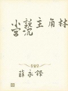 小说主角林知意宫沉