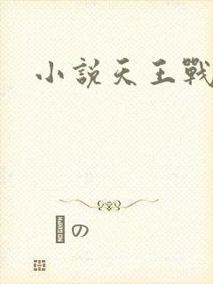 小说天王战神封面