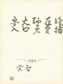 鲁大师在线观看入口免费播放