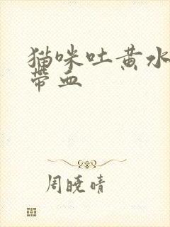 猫咪吐黄水拉稀带血