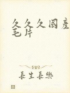 久久久国产精品毛片