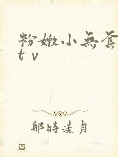 粉嫩小无套内谢tⅴ