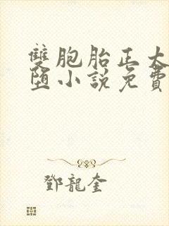 双胞胎正太的雌堕小说免费阅读