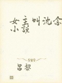 女主叫沈念初的小说封面