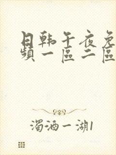 日韩午夜免费视频一区二区