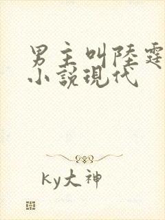 男主叫陆霆渊的小说现代