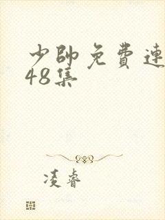 少帅免费连续剧48集