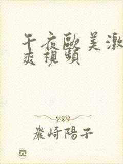 午夜欧美激情爽爽视频