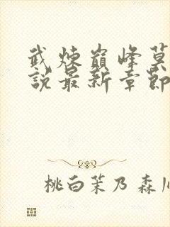 武炼巅峰莫默小说最新章节阅续封面