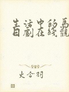 生活中的马玛丽日剧在线观看免费