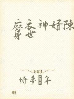 麻衣神婿陈黄皮身世