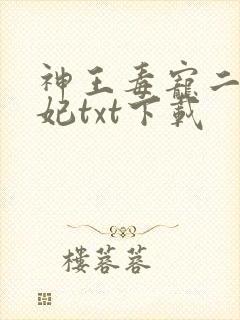 神王毒宠二嫁王妃txt下载