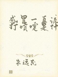 感冒一直流鼻涕打喷嚏是什么原因