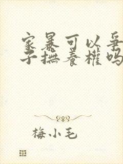 家暴可以争取孩子抚养权吗