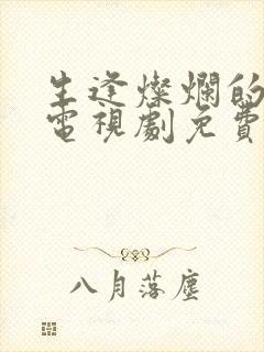 生逢灿烂的日子电视剧免费在线观看