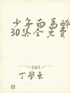 少年白马醉春风30集全免费观看