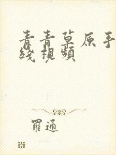 青青草原手机在线视频封面