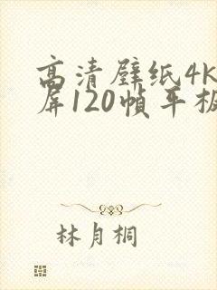 高清壁纸4k全屏120帧平板