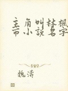 主角叫林枫的都市小说名字