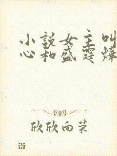 小说女主叫初之心和盛霆烨