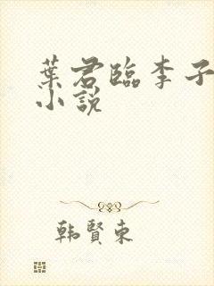 叶君临李子染的小说