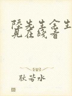 陆先生余生不再见在线看