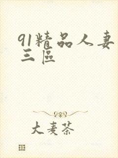 91精品人妻二三区