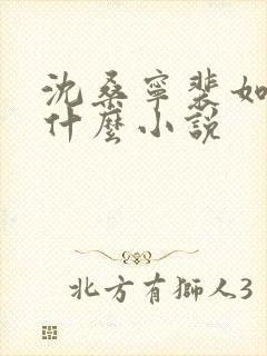 沈桑宁裴如衍是什么小说封面