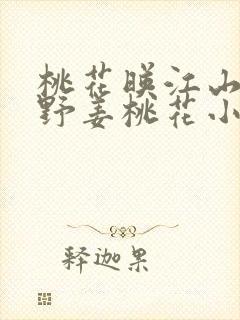 桃花映江山沈在野姜桃花小说全文免费阅读