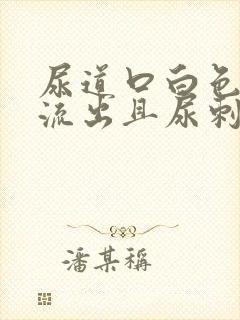 尿道口白色液体流出且尿刺痛