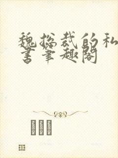 魏总裁的私人秘书笔趣阁