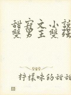 甜宠文小说推荐双男主双强封面