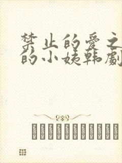 禁止的爱之善良的小姨韩剧