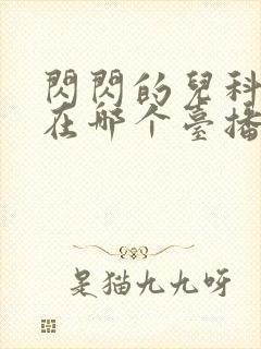 闪闪的儿科医生在哪个台播出封面