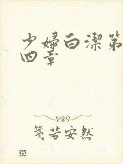 少妇白洁第三十四章