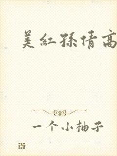 美红孙倩高义