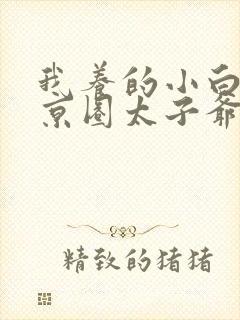 我养的小白脸是京圈太子爷免费看