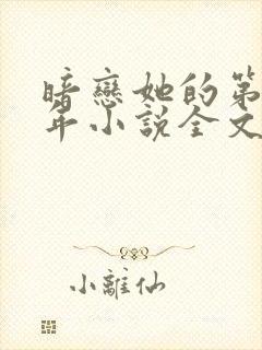 暗恋她的第十一年小说全文封面