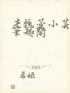 老魏董小芸全文笔趣阁